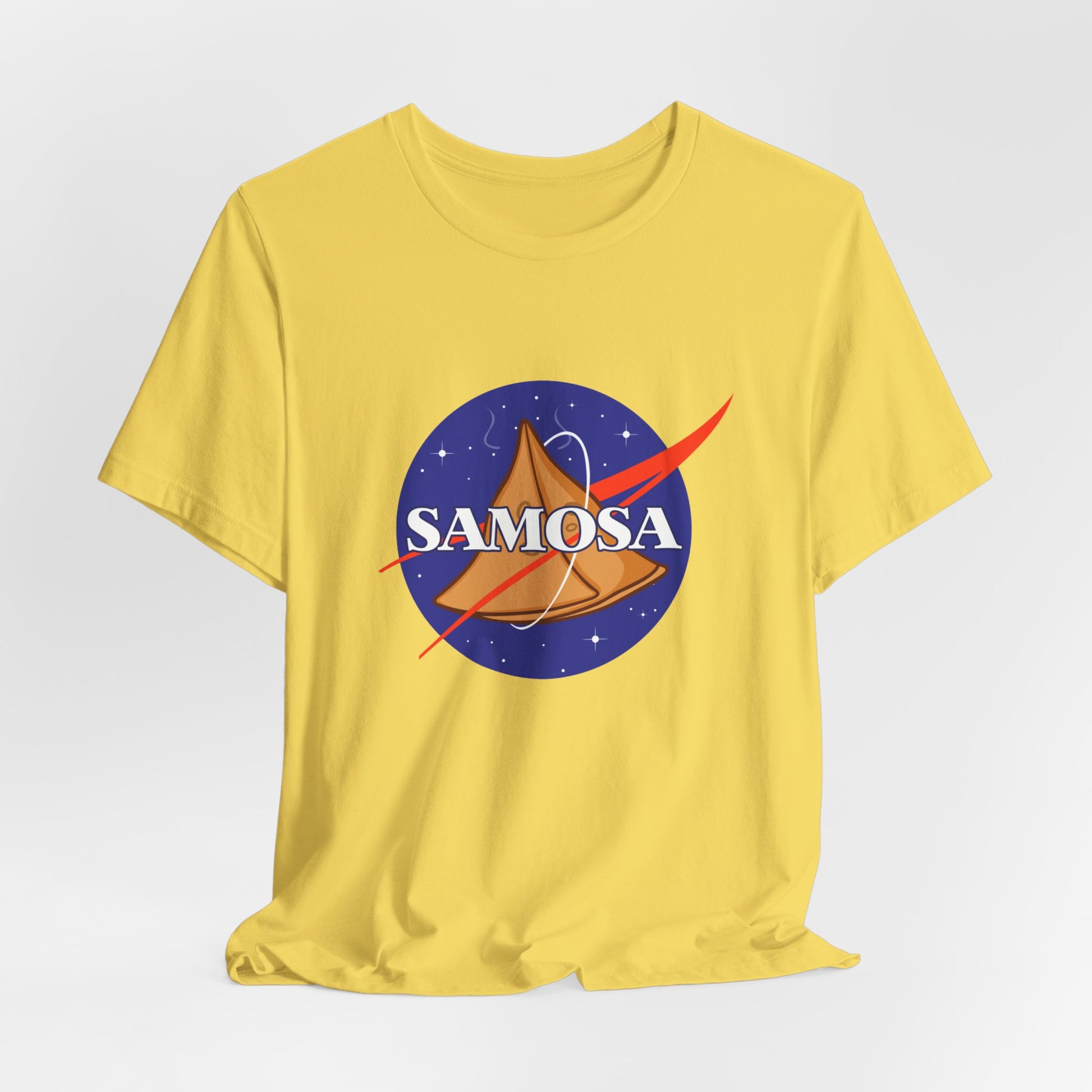 Samosa Graphic Tee - Currycature 🇺🇸