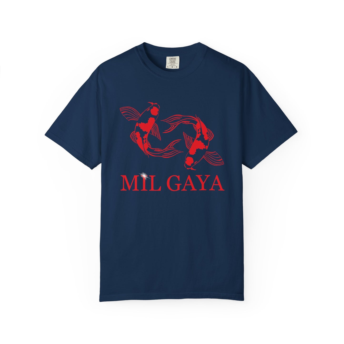 Koi Mil Gaya