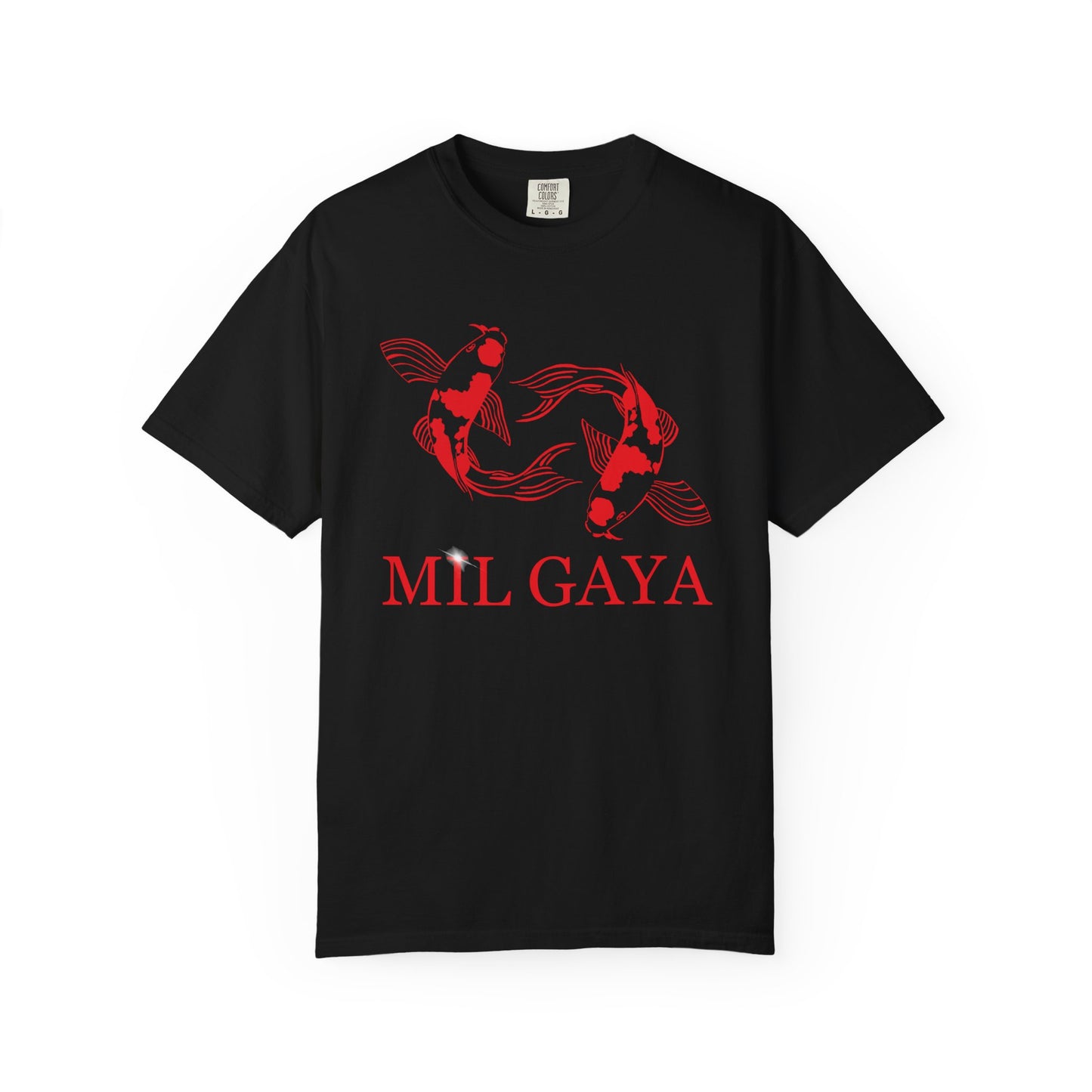Koi Mil Gaya