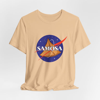 Samosa Graphic Tee - Currycature 🇺🇸