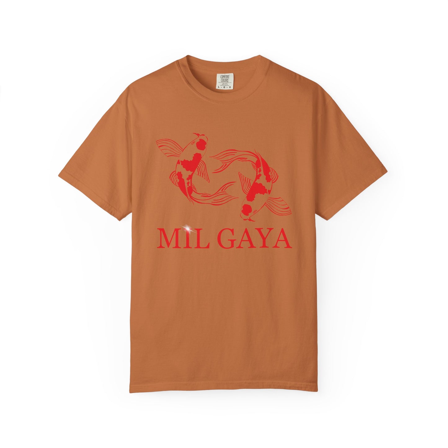 Koi Mil Gaya