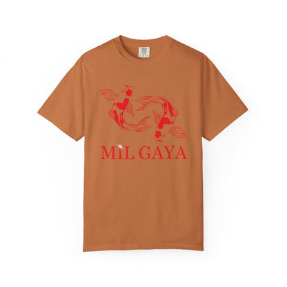 Koi Mil Gaya