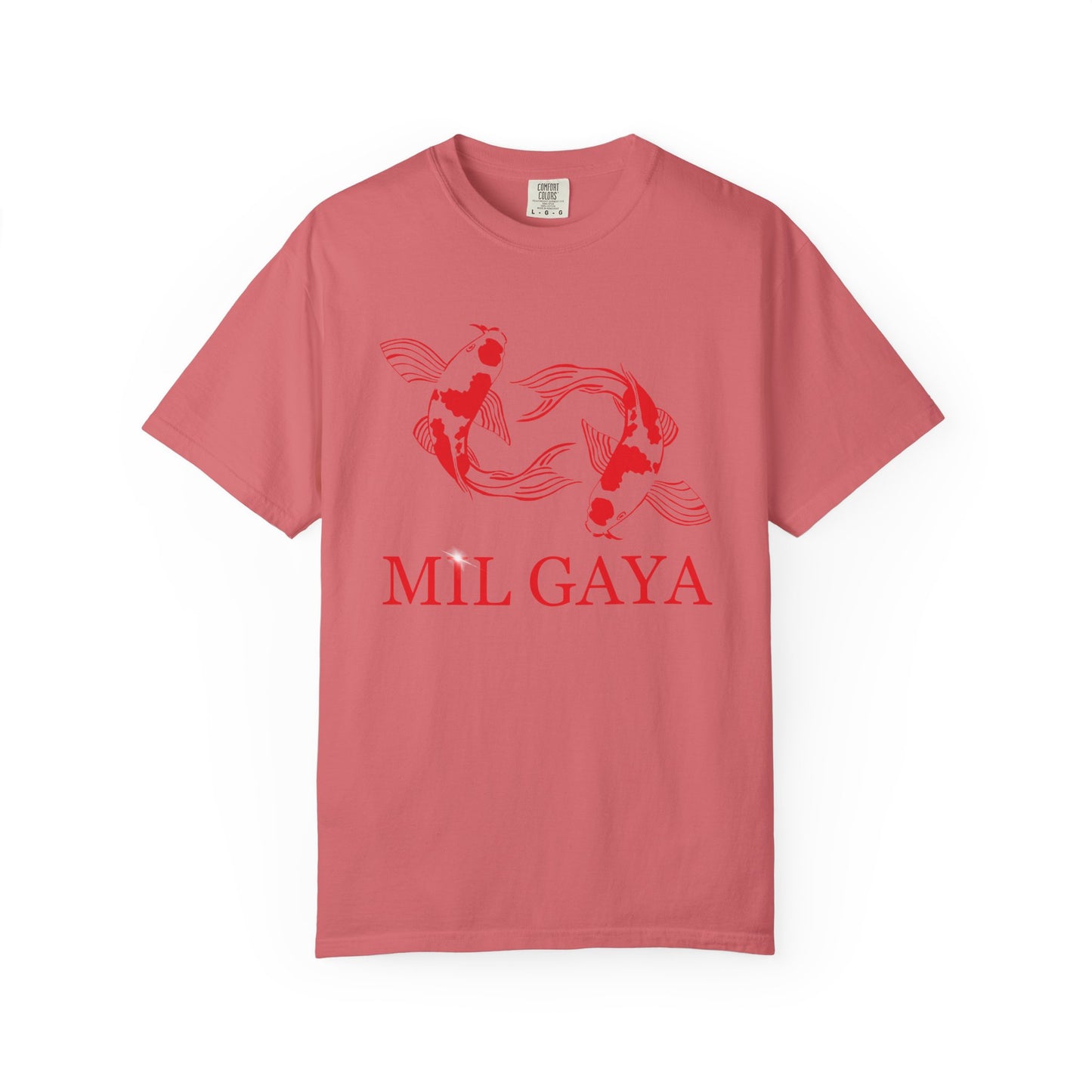 Koi Mil Gaya