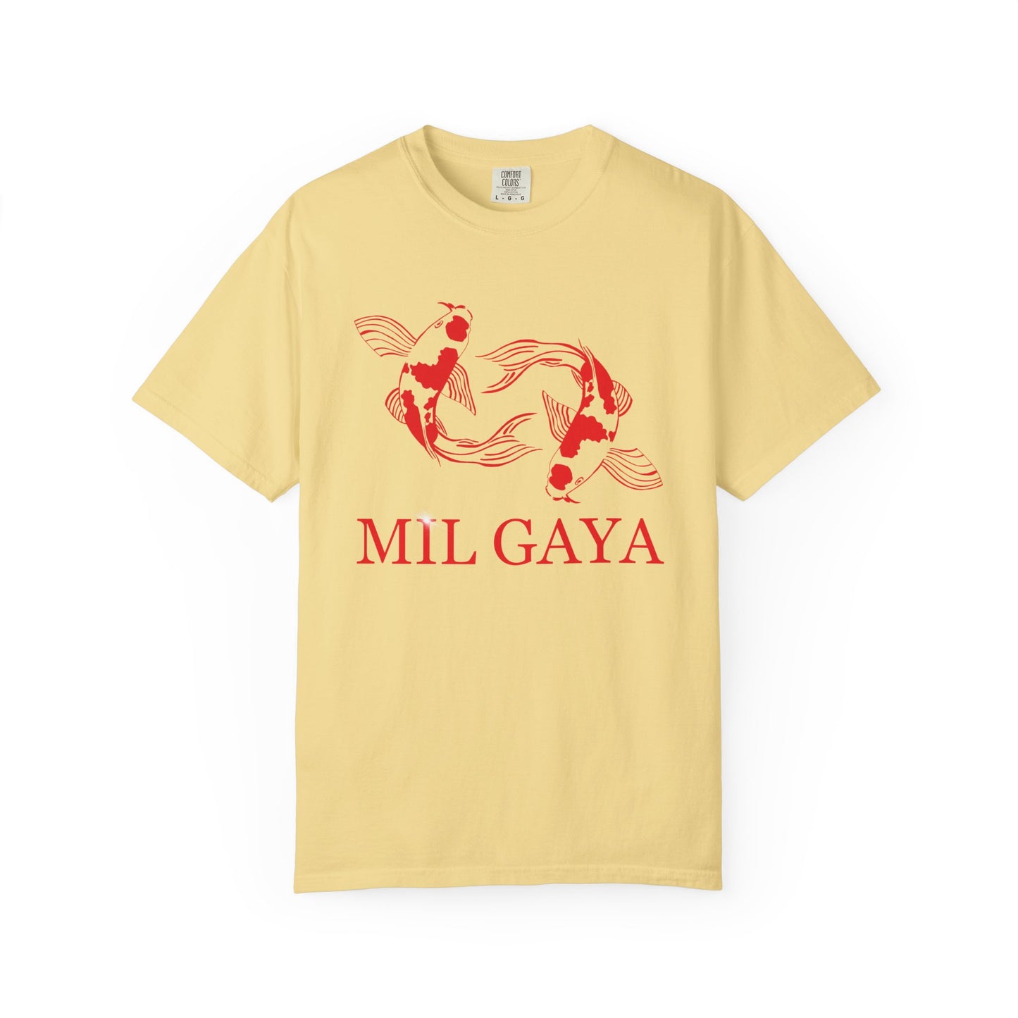 Koi Mil Gaya