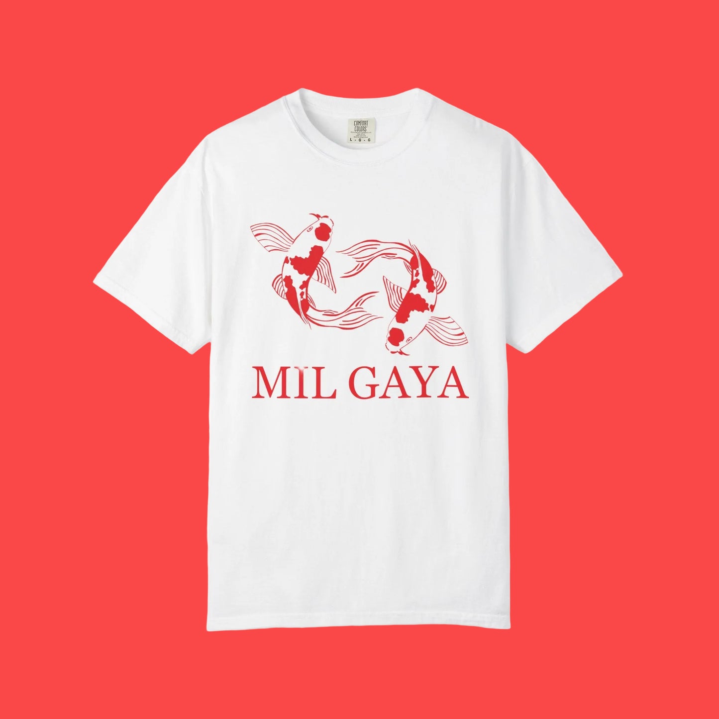 Koi Mil Gaya
