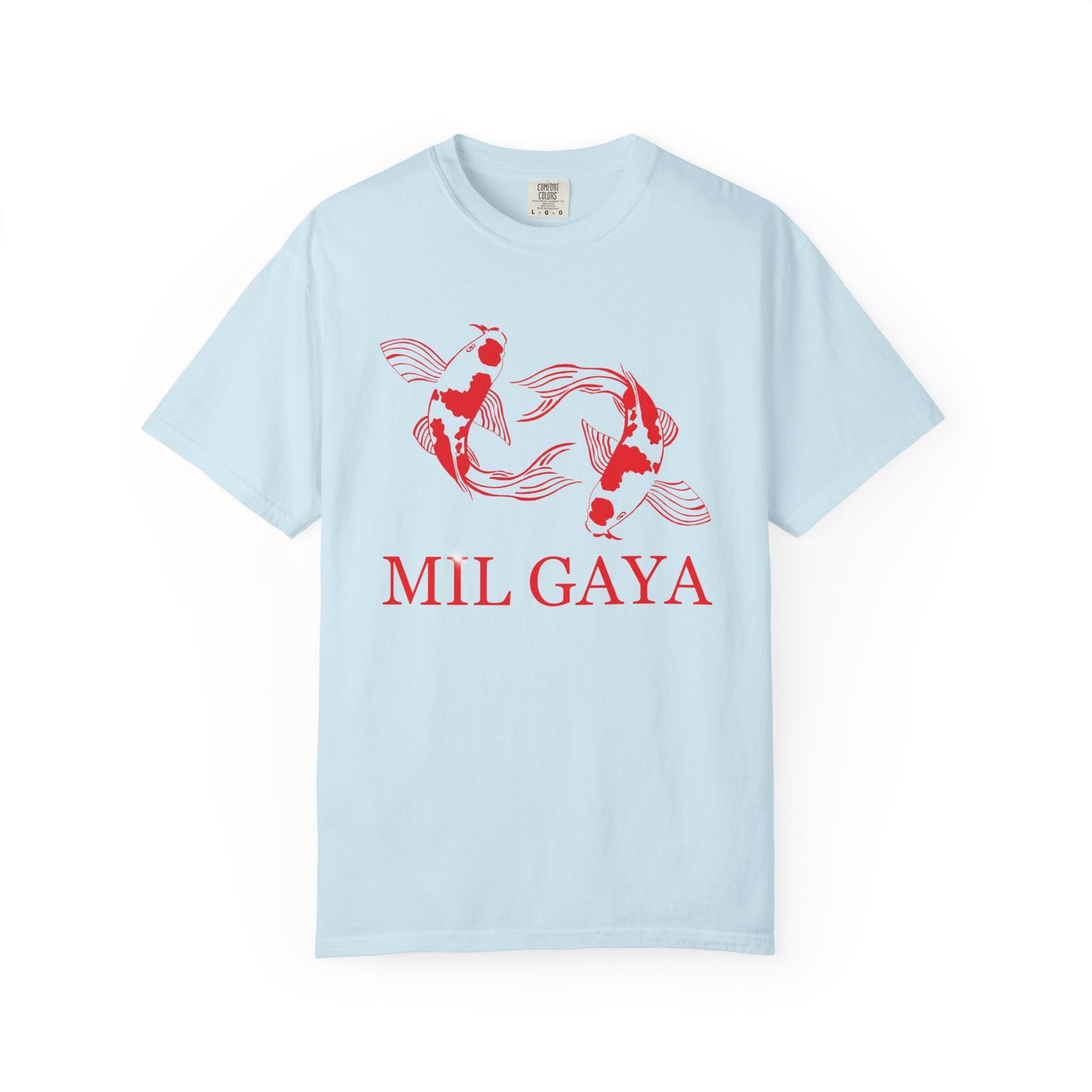 Koi Mil Gaya