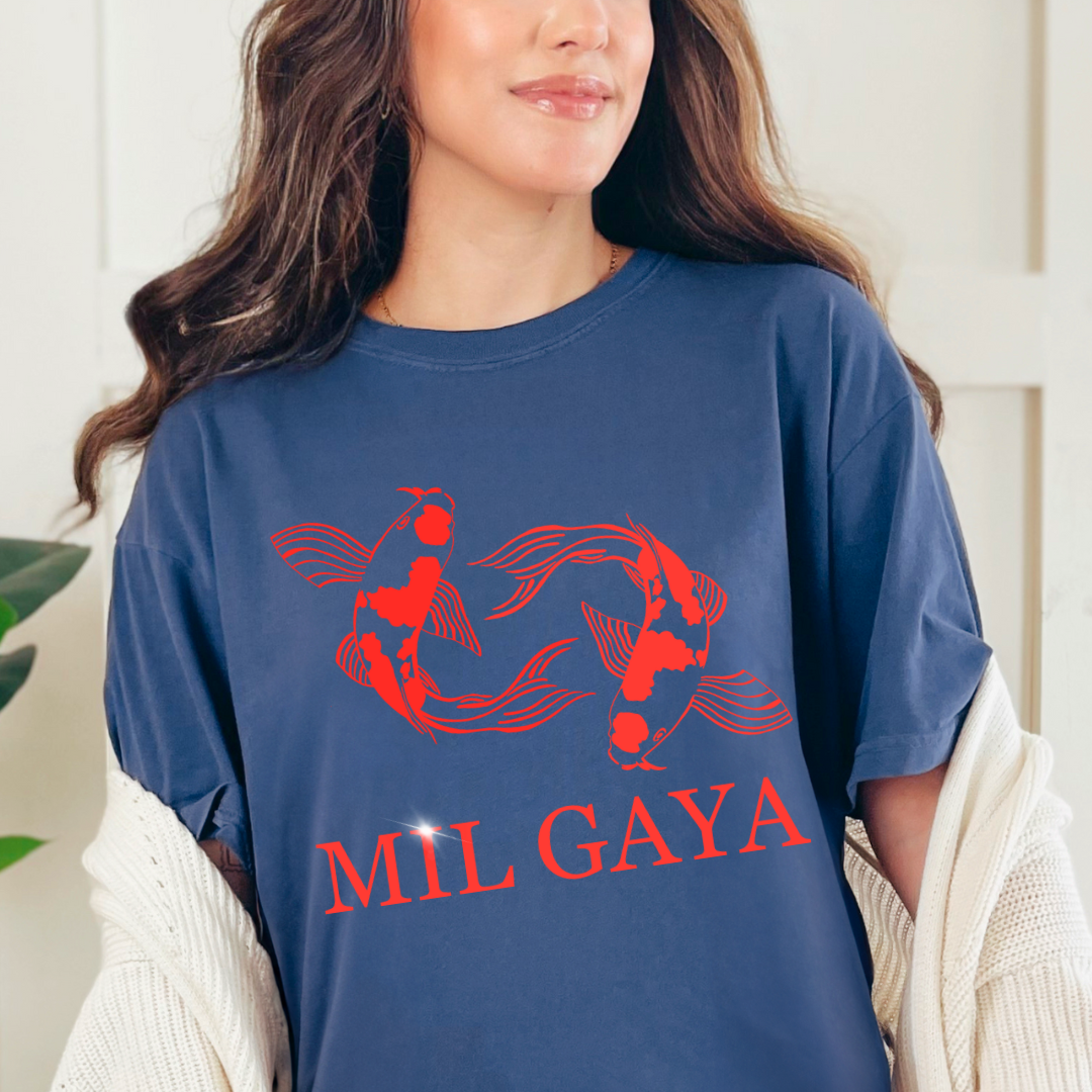Koi Mil Gaya